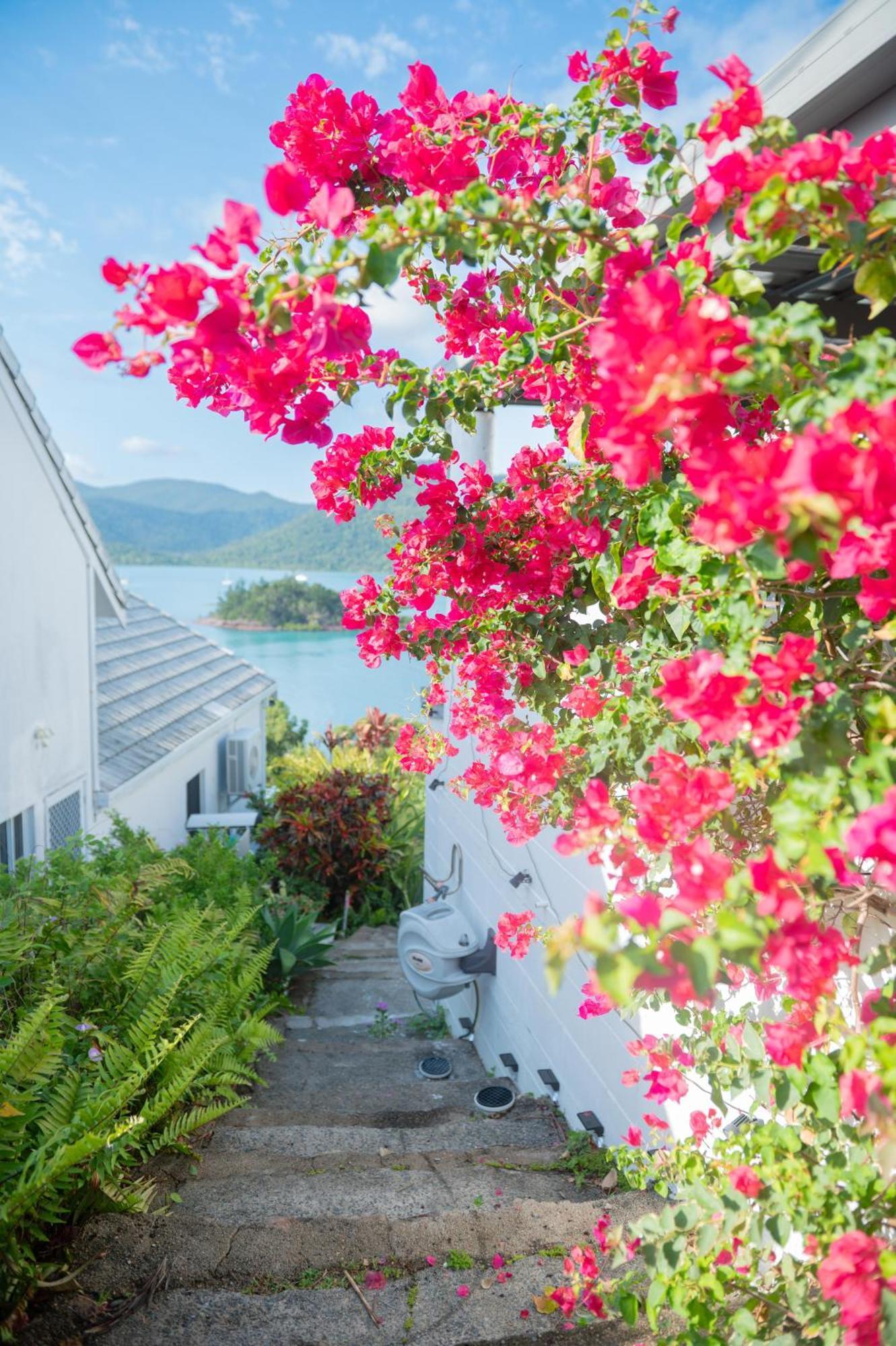 The Haven View - Airlie Beach Exterior foto